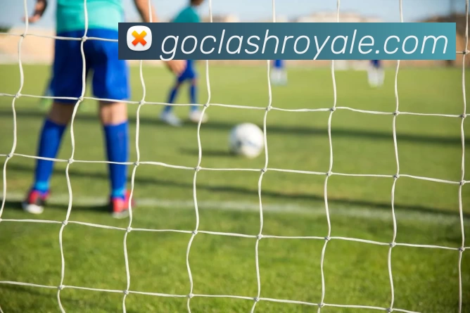 体育App